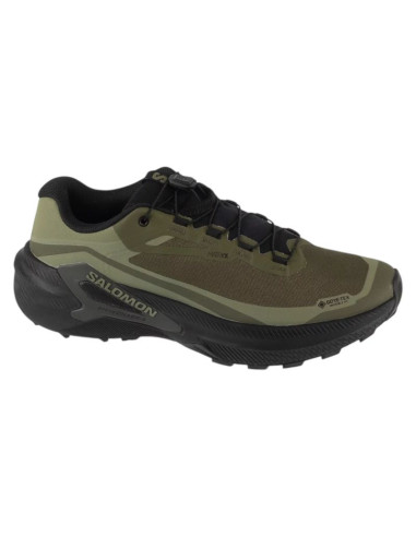 Salomon genesis 2 gtx l49301900 zielone 41 1/3