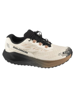 Salomon aero blaze 4 grvl gtx l45403200 białe 41 1/3