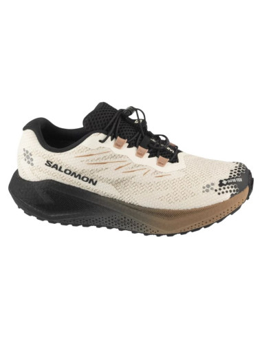 Salomon aero blaze 4 grvl gtx l45403200 białe 41 1/3