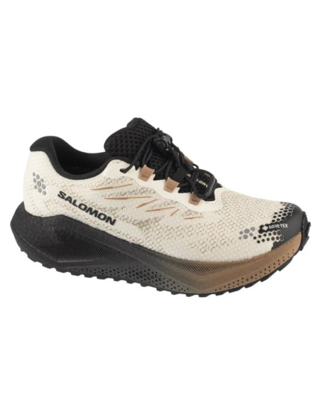 Salomon aero blaze 4 grvl gtx w l45403900 białe 36 2/3