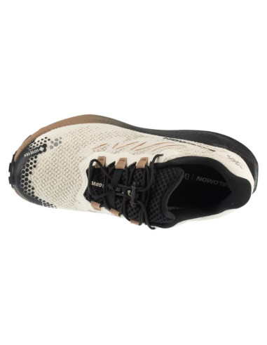 Salomon aero blaze 4 grvl gtx w l45403900 białe 36 2/3