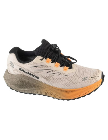 Salomon aero blaze 4 grvl gtx w l45404000 szare 37 1/3