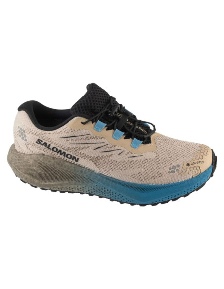 Salomon aero blaze 4 grvl gtx l45403300 szare 41 1/3