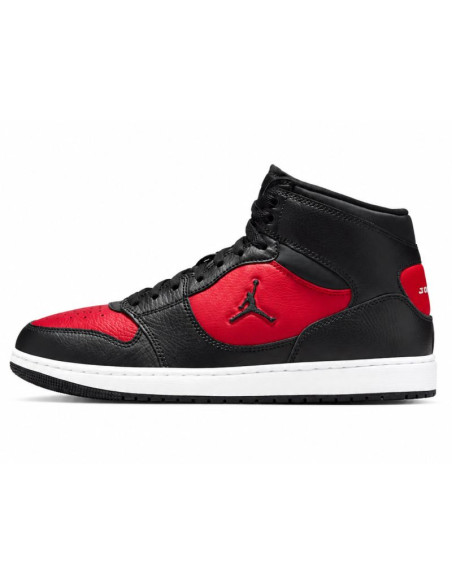 Buty męskie jordan court connect mid (iq5685-006)