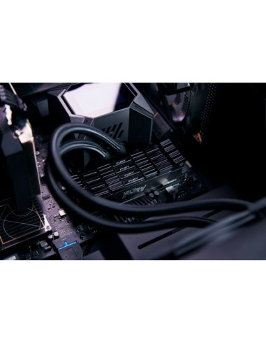 Kingston fury renegade ddr4 32 gb 3600mhz cl18