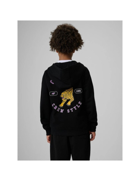 Bluza dresowa regular z kapturem chłopięca 4f 4fjraw26tswsm3195-20s