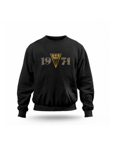 Bluza gks tychy gold date