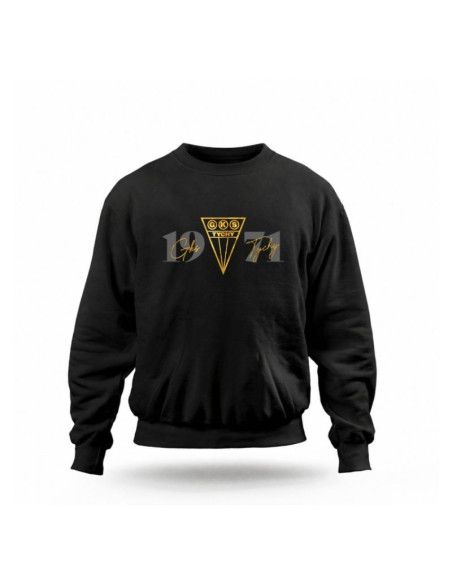 Bluza gks tychy gold date