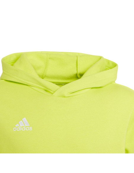 Bluza adidas entrada 22 hoody jr
