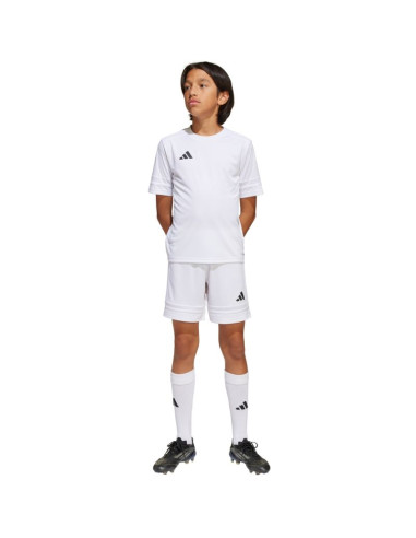 Spodenki adidas squadra 25 jr