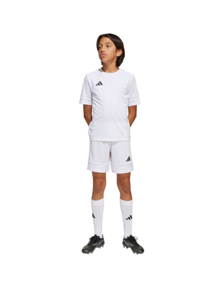 Spodenki adidas squadra 25 jr