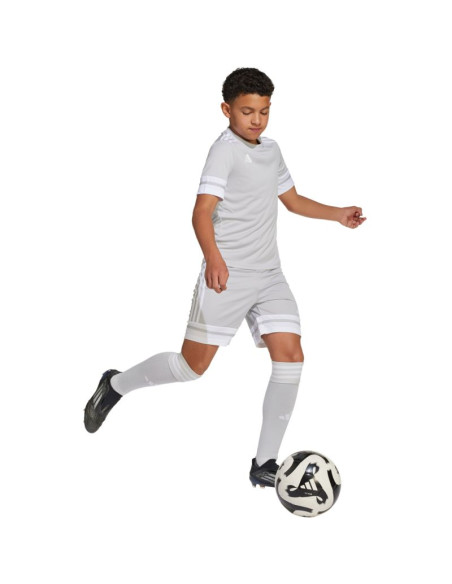 Spodenki adidas squadra 25 jr