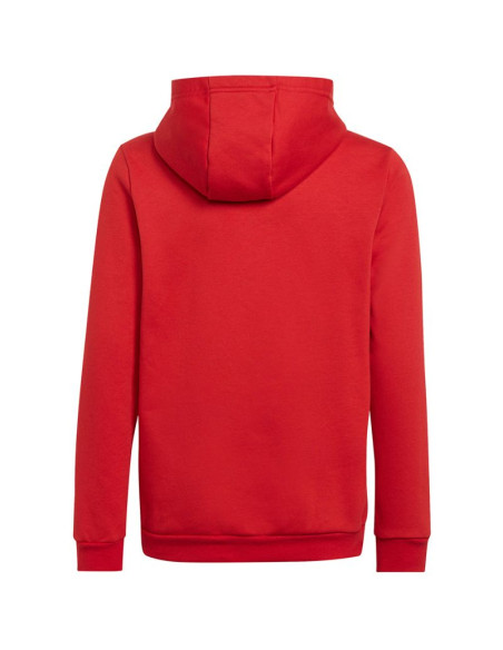 Bluza adidas entrada 22 hoody jr h5756