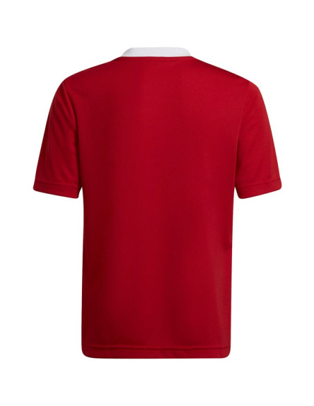 Koszulka adidas entrada 22 jsy jr