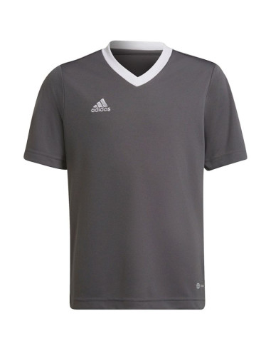 Koszulka adidas entrada 22 jsy jr