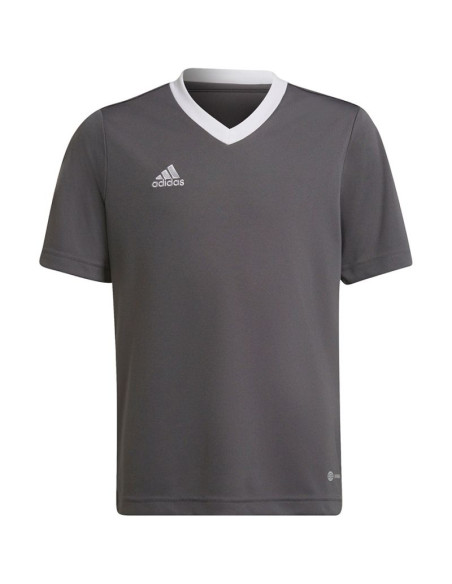 Koszulka adidas entrada 22 jsy jr
