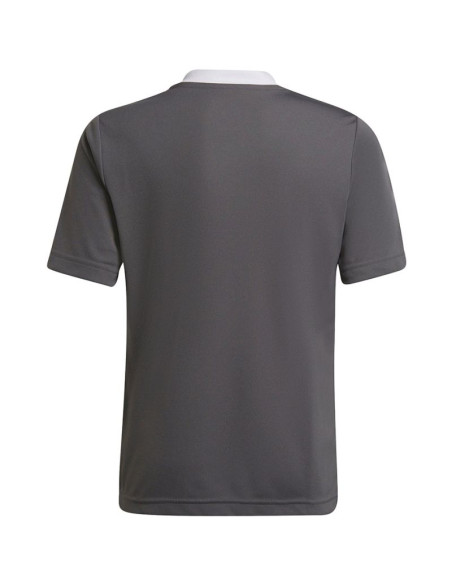 Koszulka adidas entrada 22 jsy jr