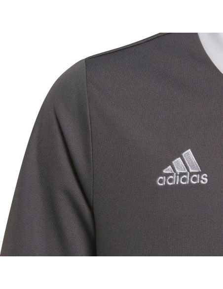 Koszulka adidas entrada 22 jsy jr