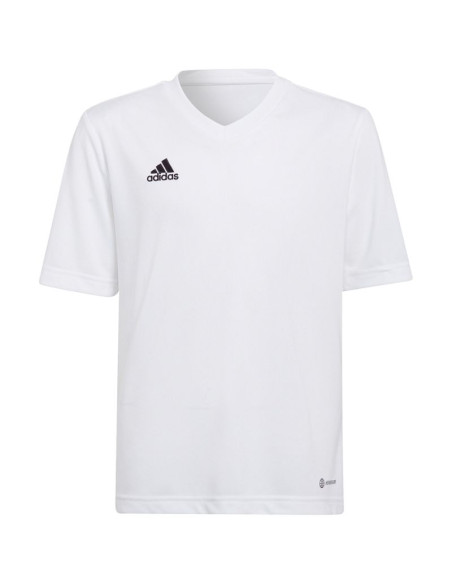 Koszulka adidas entrada 22 jsy jr