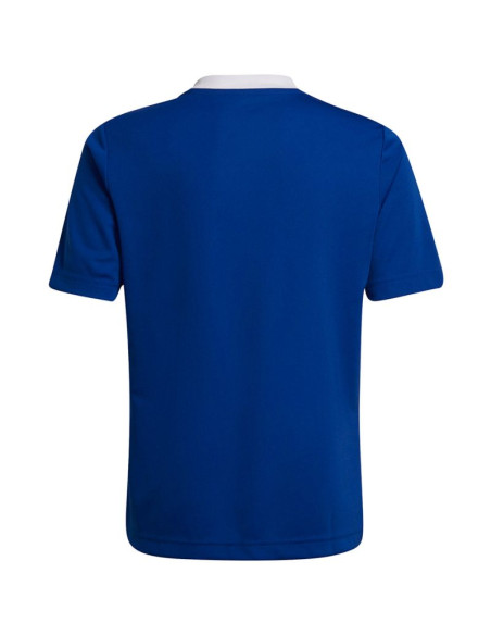 Koszulka adidas entrada 22 jsy jr