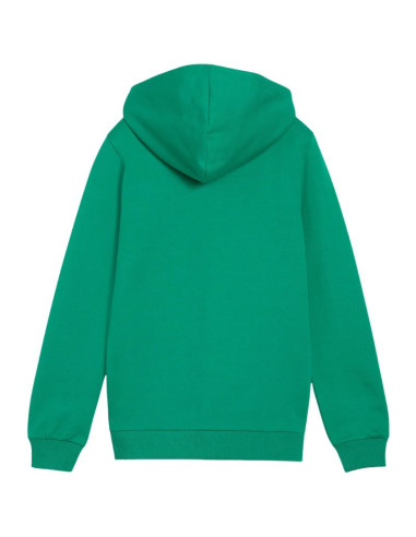 Bluza dla dzieci puma teamgoal casuals hooded zielona 658596 05