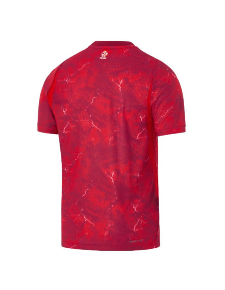 Koszulka nike polska match away io8527-674