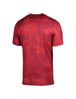 Koszulka nike polska football top away io8503-625 2