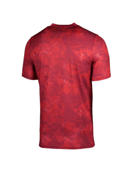Koszulka nike polska football top away io8503-625
