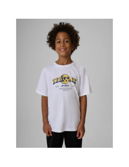 T-shirt regular z nadrukiem chłopięcy 4f 4fjraw26ttshm4523-10s
