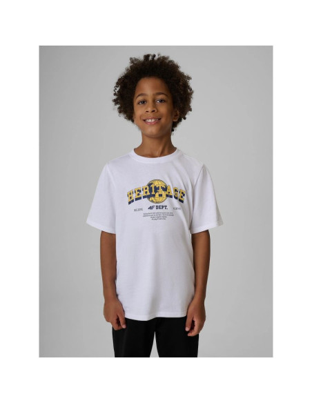 T-shirt regular z nadrukiem chłopięcy 4f 4fjraw26ttshm4523-10s