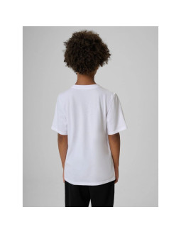 T-shirt regular z nadrukiem chłopięcy 4f 4fjraw26ttshm4523-10s 2