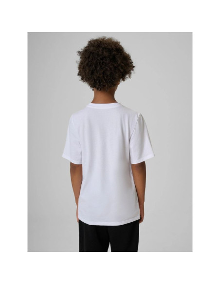 T-shirt regular z nadrukiem chłopięcy 4f 4fjraw26ttshm4523-10s