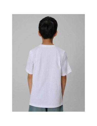 T-shirt regular z nadrukiem chłopięcy 4f 4fjraw26ttshm4629-10s