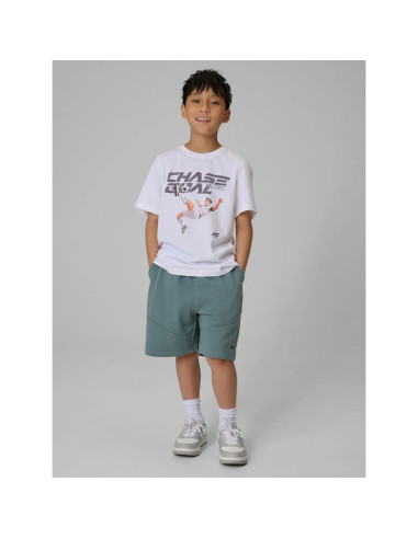 T-shirt regular z nadrukiem chłopięcy 4f 4fjraw26ttshm4629-10s