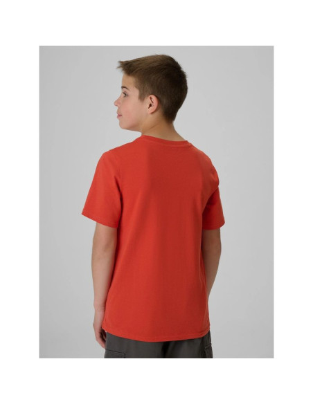 T-shirt regular z nadrukiem chłopięcy 4f 4fjraw26ttshm4349-062s