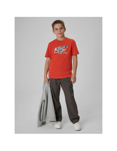 T-shirt regular z nadrukiem chłopięcy 4f 4fjraw26ttshm4349-062s