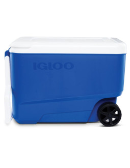 Lodówka (na kółkach) igloo wheelie cool 38 roller (36 litrów)