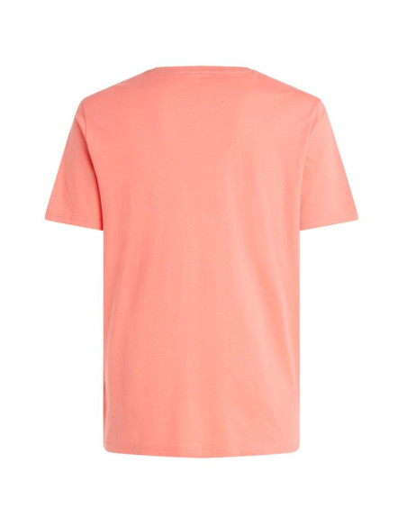 Koszulka męska protest prtsharm t-shirt