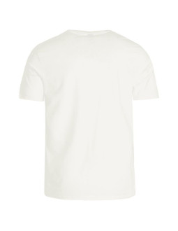 Koszulka męska protest prtcaarlo t-shirt
