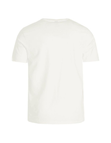 Koszulka męska protest prtcaarlo t-shirt