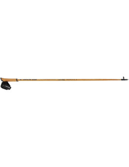Kije viking expedition carbo nordic walking 2