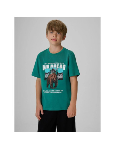 T-shirt regular z nadrukiem chłopięcy 4f 4fjkaw26ttshm4456-46s