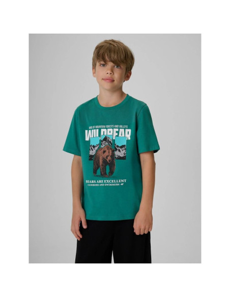 T-shirt regular z nadrukiem chłopięcy 4f 4fjkaw26ttshm4456-46s