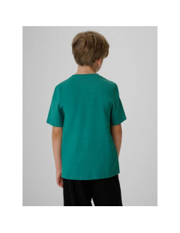 T-shirt regular z nadrukiem chłopięcy 4f 4fjkaw26ttshm4456-46s 2