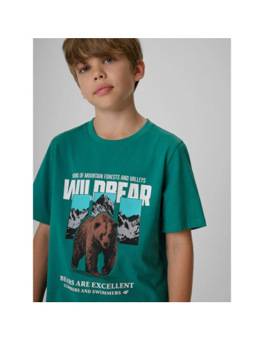 T-shirt regular z nadrukiem chłopięcy 4f 4fjkaw26ttshm4456-46s