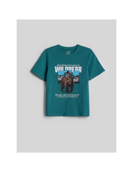 T-shirt regular z nadrukiem chłopięcy 4f 4fjkaw26ttshm4456-46s