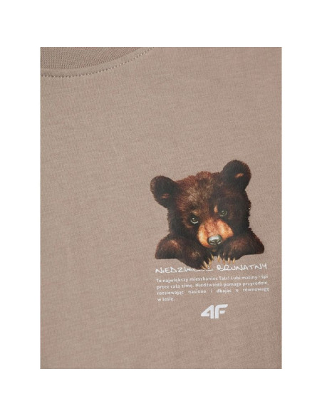 T-shirt regular z nadrukiem dziewczęcy 4f 4fjkaw26ttshf4424-83s