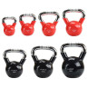 Kettlebell żeliwny uchwyt chrom radełkowany hms ktc20