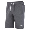 Spodenki nike park 20 fleece short m cw6910 071