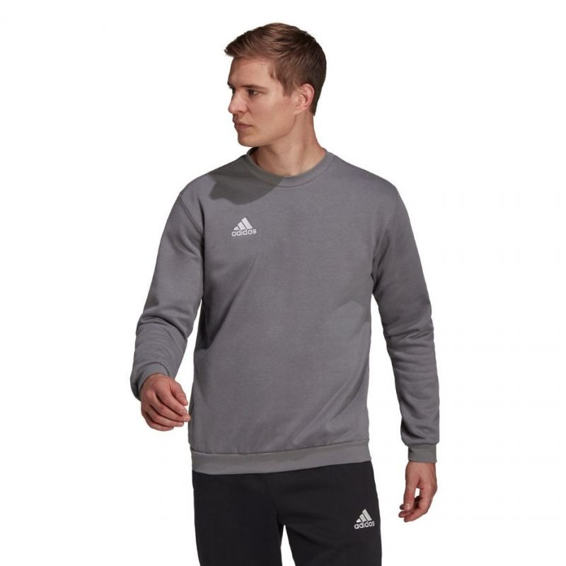 Bluza adidas entrada 22 sweat top m